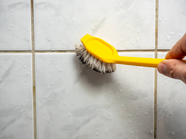 Best Home Mold Removal  in Brightwood, VA