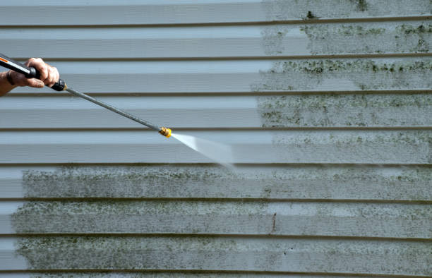 Best Mold Removal and Inspection  in Brightwood, VA