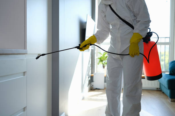 Trusted Brightwood, VA Mold Removal Experts